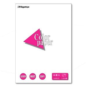 （まとめ） Nagatoya カラーペーパー A4判 中厚口 ナ-3201 白 100枚入 【×5セット】