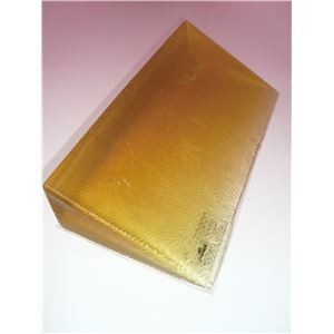 アクションジャパン 入浴備品 特浴用アクションパッド (1)大サイズ(カバー付) #40690