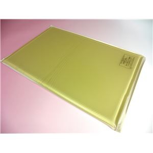 アクションジャパン 入浴備品 特浴用アクションパッド (3)平状(カバーなし) #40692