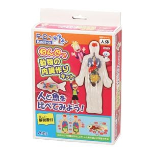 (まとめ)アーテック ねんどで動物の内臓作りキット 【×18セット】