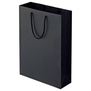 （まとめ） TANOSEE マットコート手提げ袋 L ヨコ320×タテ450×マチ幅110mm ブラック 1パック（10枚） 【×2セット】