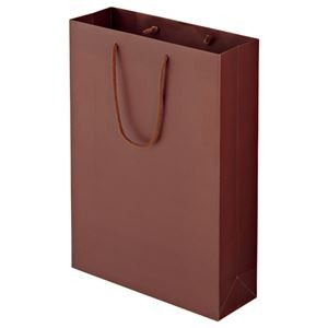（まとめ） TANOSEE マットコート手提げ袋 L ヨコ320×タテ450×マチ幅110mm ブラウン 1パック（10枚） 【×2セット】
