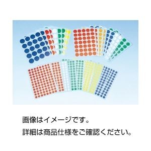 （まとめ）ポイントラベル M【×10セット】