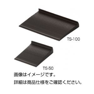 （まとめ）耐震用転倒防止板(たおれストッパー)TS-100 入数：2【×10セット】