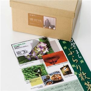 (まとめ)サンワサプライ 下地が透けないマルチラベル(名刺サイズ) LB-EM24【×3セット】