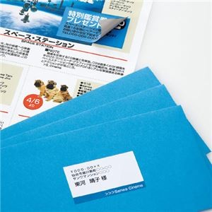 (まとめ)サンワサプライ 下地が透けないマルチラベル(21面) LB-EM26【×3セット】