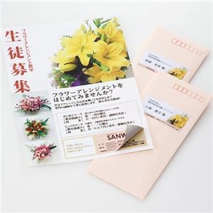 (まとめ)サンワサプライ 下地が透けないマルチラベル(24面・上下余白付) LB-EM27【×3セット】