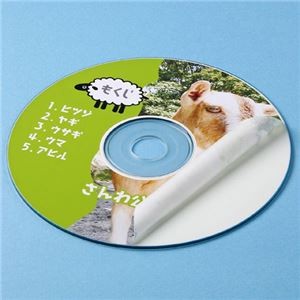 （まとめ）サンワサプライ インクジェットDVD／CDラベル（つやなしマット） LB-CDR001N【×10セット】
