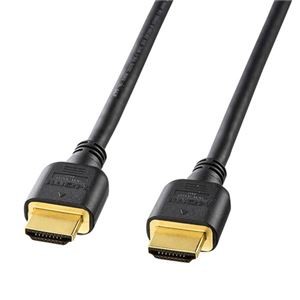 (まとめ)サンワサプライ ハイスピードHDMIケーブル KM-HD20-10H【×2セット】