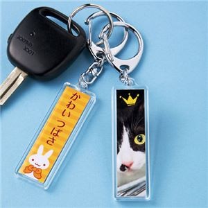 (まとめ)サンワサプライ 手作りキーホルダーキット(スティック型) JP-ST15【×5セット】