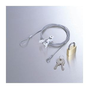 （まとめ）エレコム ディスプレイセキュリティロック ESL-5【×3セット】