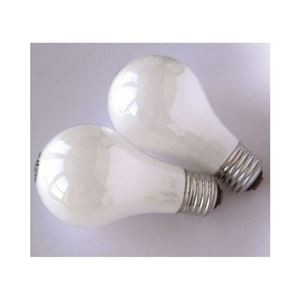 (まとめ)GE 白熱電球100W形2個パック LW100V90WGE2PK【×20セット】