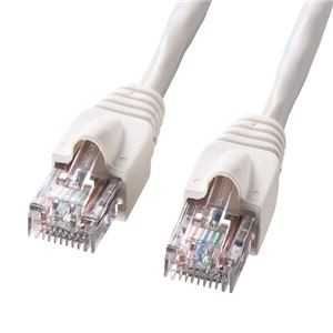 (まとめ)サンワサプライ UTPエンハンスドカテゴリ5ハイグレード単線ケーブル KB-10T5-03N【×2セット】