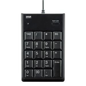 (まとめ)サンワサプライ USBテンキー NT-16UBKN【×2セット】