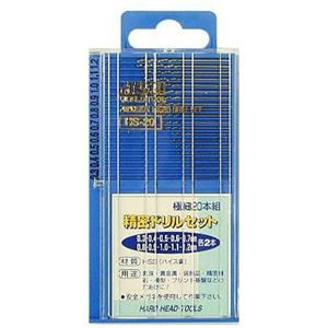 (業務用2セット) H＆H 精密ドリルセット/先端工具 【極細20本組×2セット】 HS-20 〔DIY用品/趣味/大工道具〕