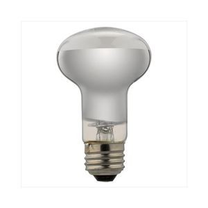(まとめ)YAZAWA 長寿命レフ電球 RF100110V57WL【×10セット】