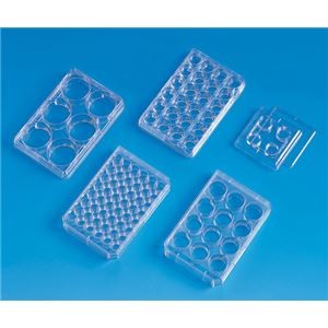 マルチディッシュ 150628 75入 培養容器