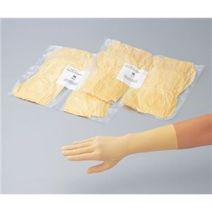 クリーンノール手袋エコノタイプL500入 一般手袋