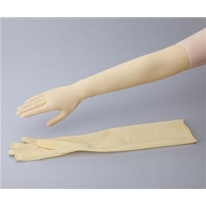 ラテックスロング手袋パウダーフリー L 一般手袋