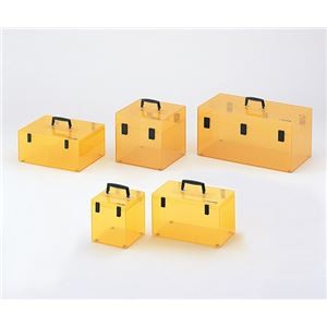 ニューキャリーボックス 6BR