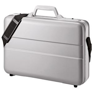 サンワサプライ ABSハードPCケース BAG-ABS5N2