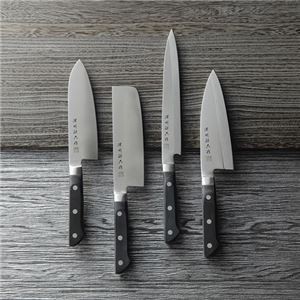 料理包丁5点セット（プロフェッショナル） K21104028