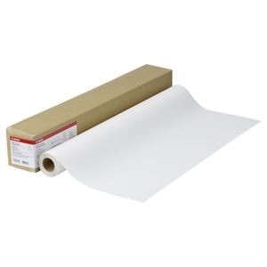 キヤノン バックライトフィルムHGLFM-BLH/24/164 24インチロール 610mm×30m 9125A007 1本