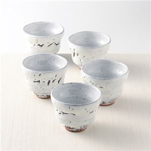 原節夫作 白萩汲出し5客揃 K20805827