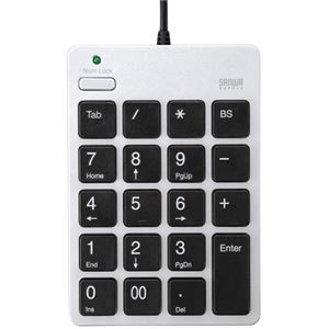 (まとめ) サンワサプライ USBテンキー シルバーNT-18USV 1個 【×10セット】
