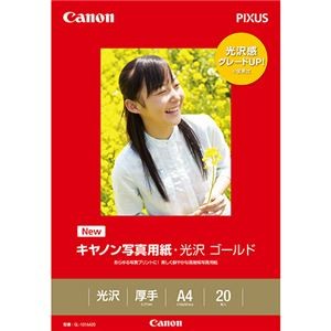 (まとめ) キヤノン Canon 写真用紙・光沢 ゴールド 印画紙タイプ GL-101A420 A4 2310B006 1冊（20枚）  【×10セット】
