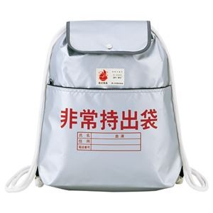 大明商事 非常持ち出し袋 380×400mm 1個 【×10セット】