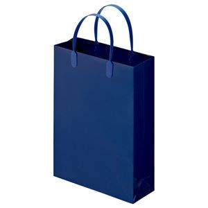 (まとめ) TANOSEE ラミネートバッグ 小 ヨコ225×タテ310×マチ幅80mm 紺 1パック（10枚）  【×10セット】