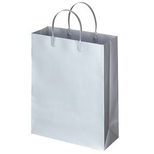 (まとめ) TANOSEE ラミネートバッグ 中縦タイプ シルバー 1パック（10枚）  【×10セット】