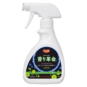 （まとめ）ピジョン ハビナース 香り革命 空間用スプレー シトラスグリーンの香り 250ml 1本【×10セット】