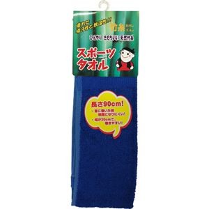 （まとめ）三重化学工業 ミエローブ 竹糸くんスポーツタオル ネイビー NO.TK13-NA 1枚【×10セット】