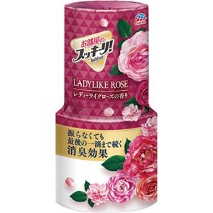 （まとめ）アース製薬 お部屋のスッキーリ！レディーライクローズ 400ml 1個【×10セット】