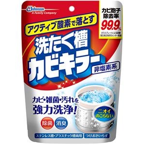 （まとめ）ジョンソンアクティブ酸素で落とす洗たく槽カビキラー（非塩素系）250g 1個【×20セット】