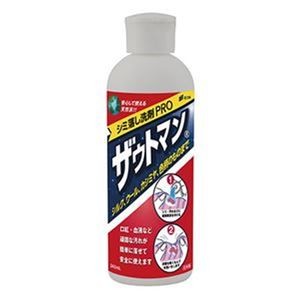 （まとめ）アイン シミ落とし洗剤 ザウトマン 本体240ml 1本【×10セット】