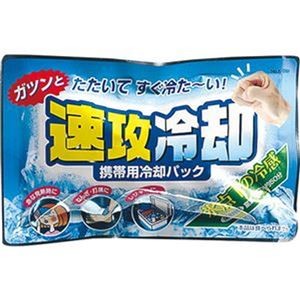 （まとめ）紀陽除虫菊 携帯用冷却パック 速攻冷却K-2001 1セット（10個）【×10セット】