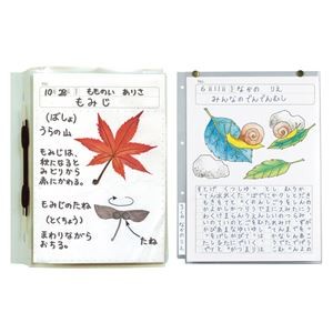 （まとめ）透明掲示ホルダー8切【×50セット】