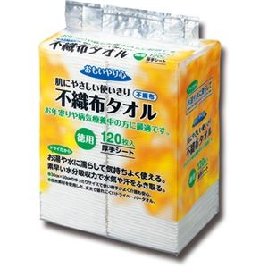 （まとめ）三昭紙業 「おもいやり心」 不織布タオル N-120 1パック（120枚） 【×3セット】