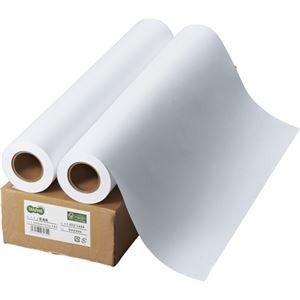 【訳あり・在庫処分】（まとめ） TANOSEE インクジェット用普通紙 A1ロール 594mm×50m 1箱（2本） 【×2セット】