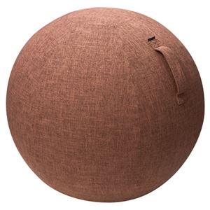 エレコム バランスボールカバー/55cm/ブラウン HCF-BBC55BR