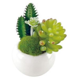 （まとめ）キシマ 消臭グリーン KH-60983【×5セット】