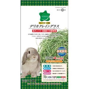 （まとめ）デリカクレイングラス 450g （ペット用品）【×6セット】【代引不可】