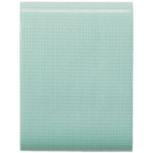 (まとめ) ヤマト アウトドアテープ パステルグリーン 幅50mm×長3m OD-PGR 【×10セット】