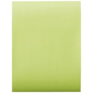 (まとめ) ヤマト アウトドアテープ ネオングリーン 幅50mm×長3m OD-NGR 【×10セット】