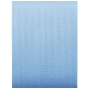 (まとめ) ヤマト アウトドアテープ ネオンブルー 幅50mm×長3m OD-NBL 【×10セット】