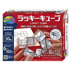 ハナヤマ 68932 かつのうラッキーキューブ