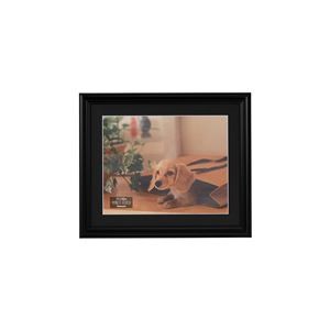 (まとめ) 樹脂製写真額 六ツ切判 ブラック F-SP-108-D 【×2セット】